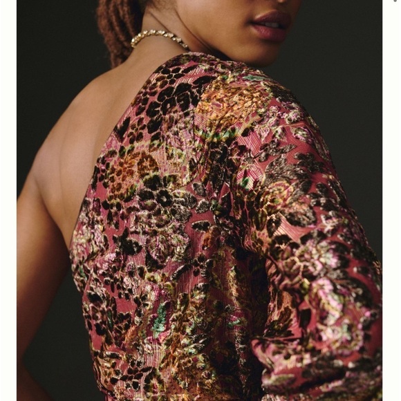 Hemant & Nandita Velvet Burnout Dress - Picture 5 of 10